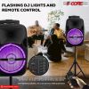 5 Core Party Speaker Portable PA System 2 Wireless Microphone Bluetooth Loud Big Subwoofer Powered Active DJ Karaoke Machine for Studio Indoor Outdoor
